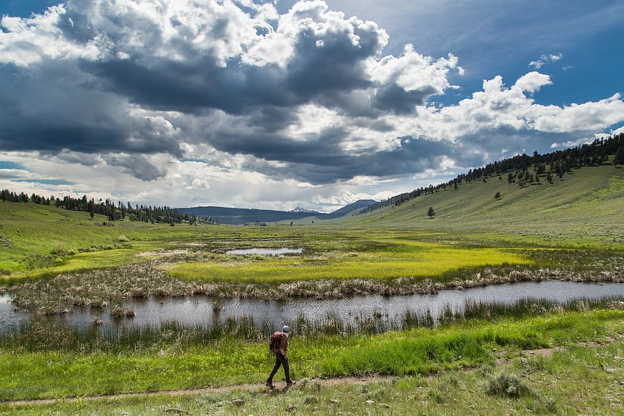 hombre, para caminar, sendero, río, excursionista, excursionismo, aventuras, al aire libre, Yellowstone, parque nacional