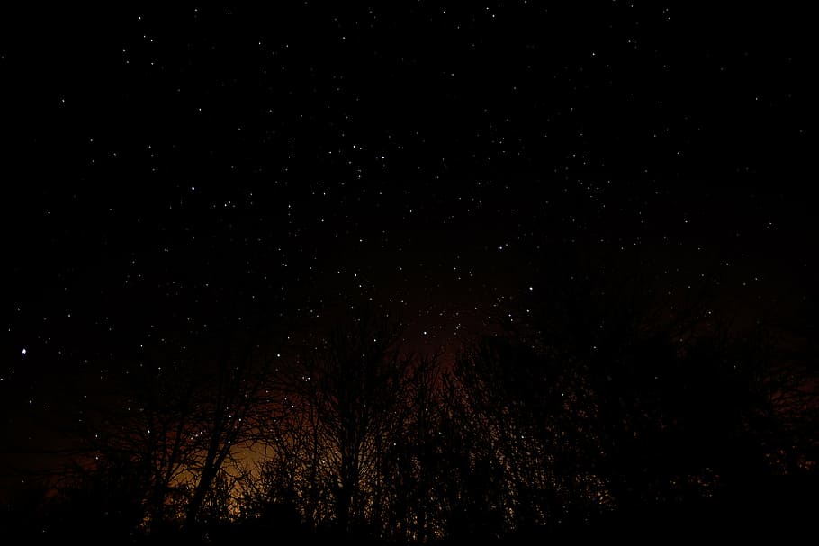fotografia do céu, noite, natureza, preto, escuro, céu, estrelas, árvores, silhueta, observação de estrelas