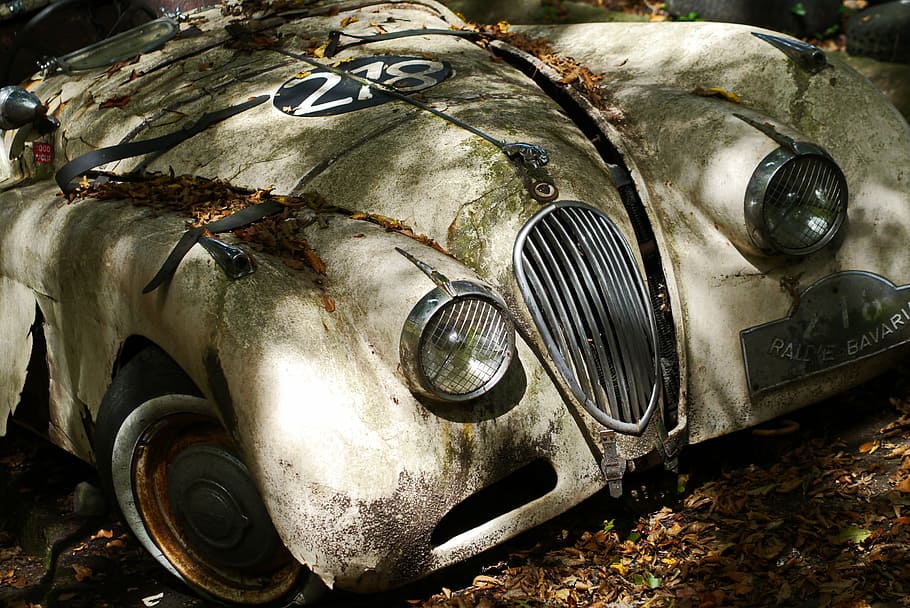abandonado, blanco, vintage, coche, jaguar, veterano, auto, clásico, pkw, vehículo
