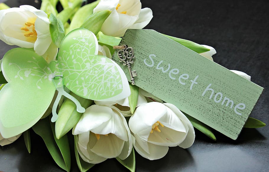green, white, flower arrangement, sweet, home, printed, card, tulips, tulipa, butterfly