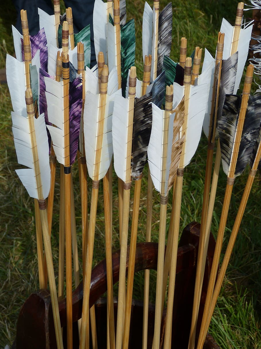 brown-and-white arrow lot, arrows, archery, middle ages, sport, feather, weapon, nature, hanging, day