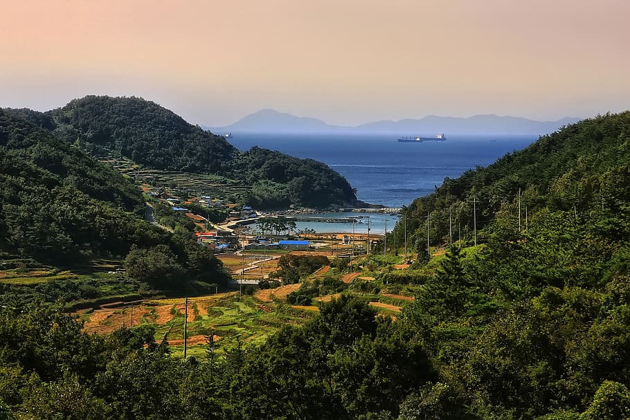 mar sul, arrozais em socalcos, coreia, república da coreia, cenário, paisagem, viagem, céu, mar, ilha