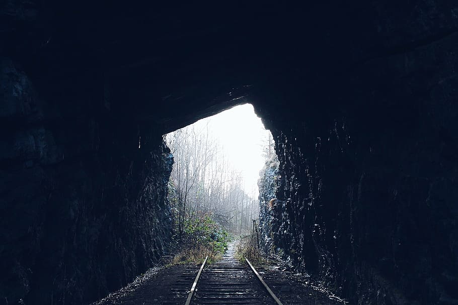 estrada de ferro, interior, caverna, dia, túnel, escuro, bosques, floresta, trem, trilho