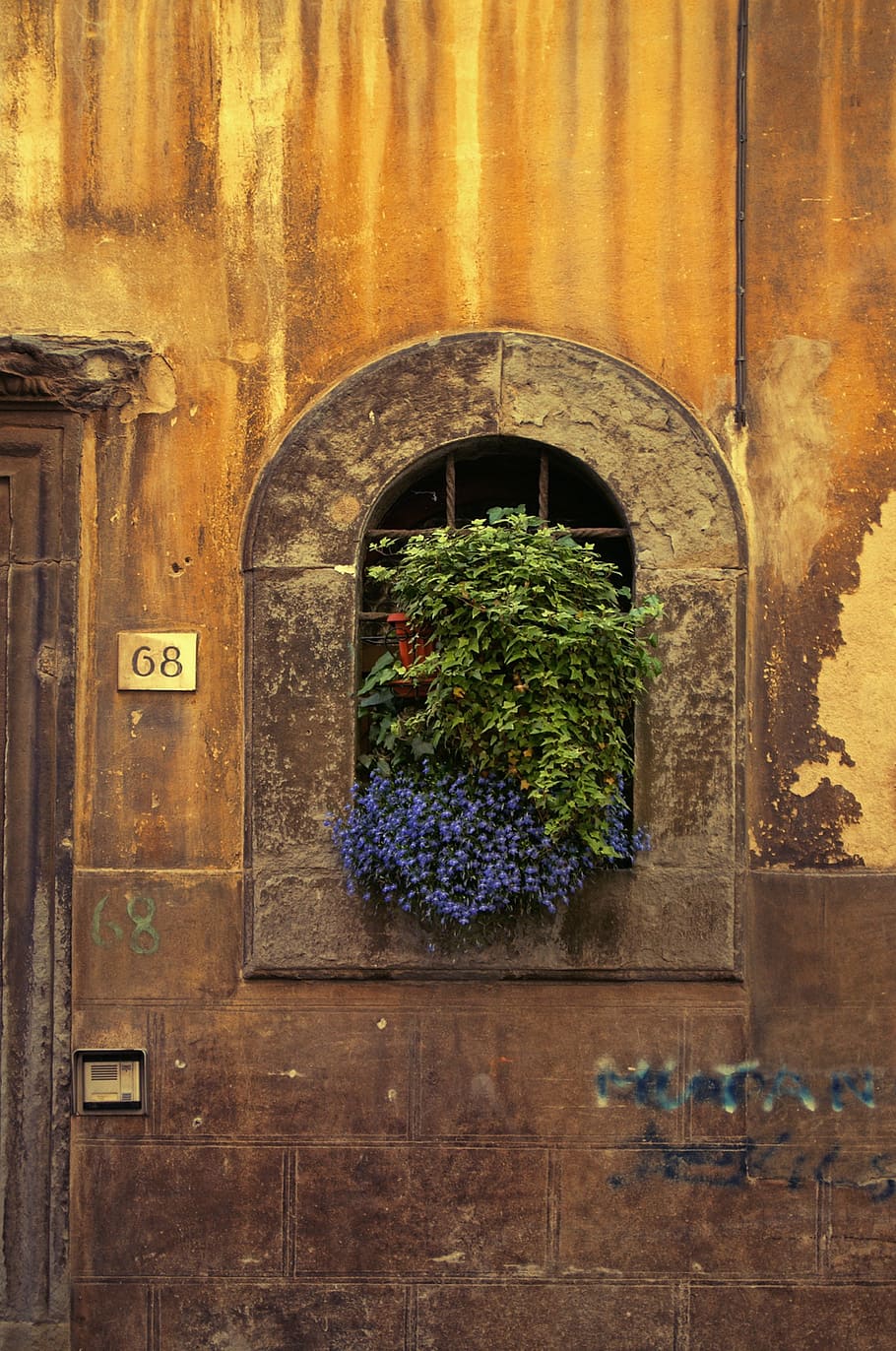 verde, azul, planta, janela, parede, parede de pedra, arco redondo, fachada, plano de fundo, paredes