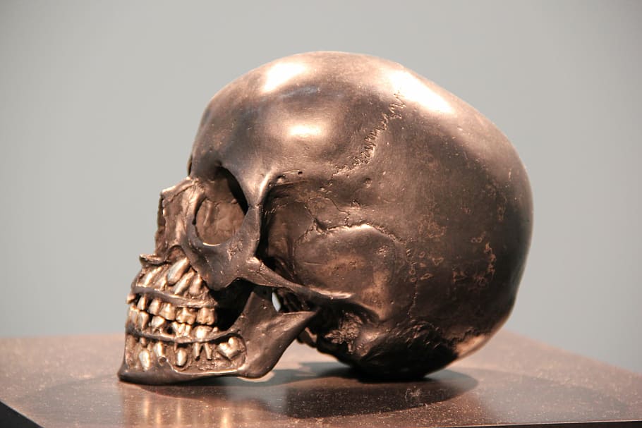 human, skull decor, table, skull, bronze, head, statue, horror, metal, brass