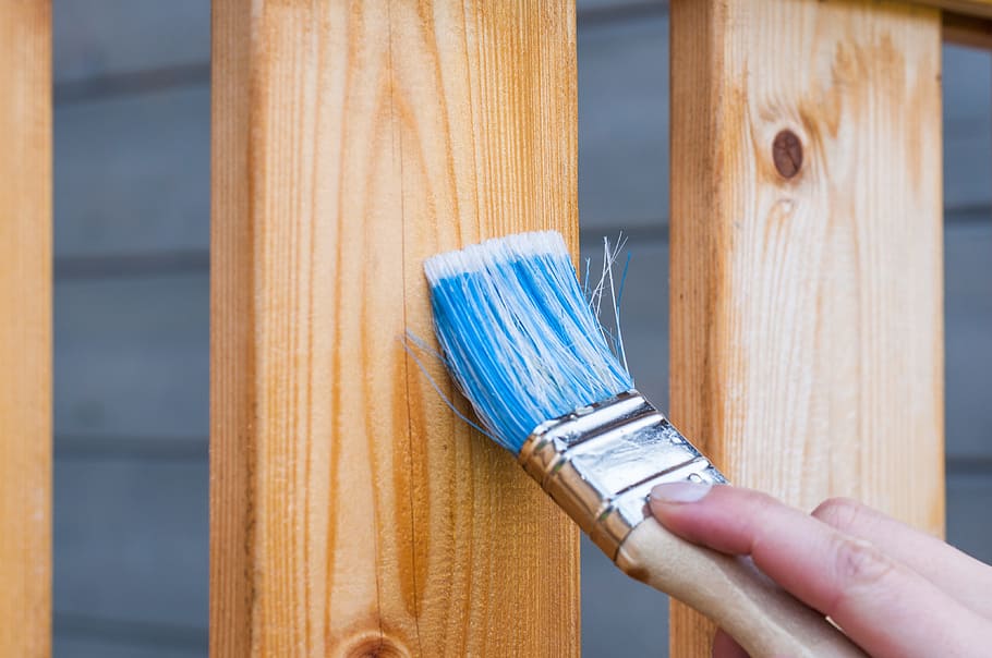 person, holding, paint brush, deck, wood, paint, wooden, house, decking ...