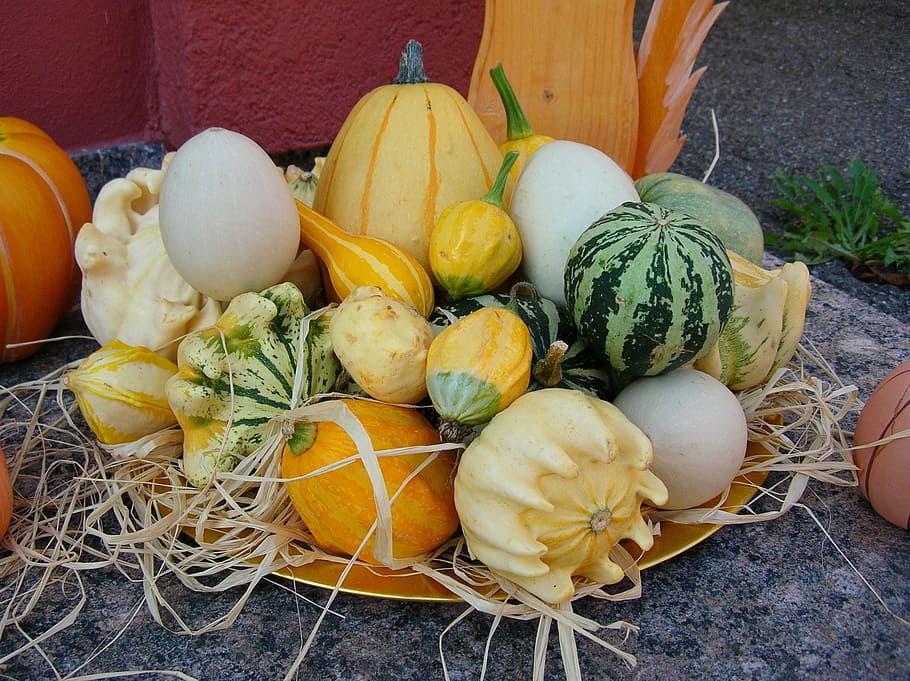 food, pumpkin, vegetables, basket, background, food and drink, healthy eating, vegetable, freshness, wellbeing