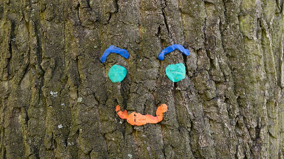 tree, face, park, happy, cheerful, art, tree spirit, eyes, nose, mouth