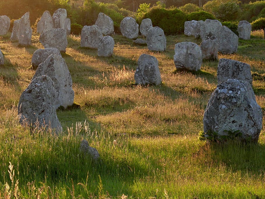 menhir, menhirs, brittany, carnac, evening, megaliths, grass, stone, plant, tombstone