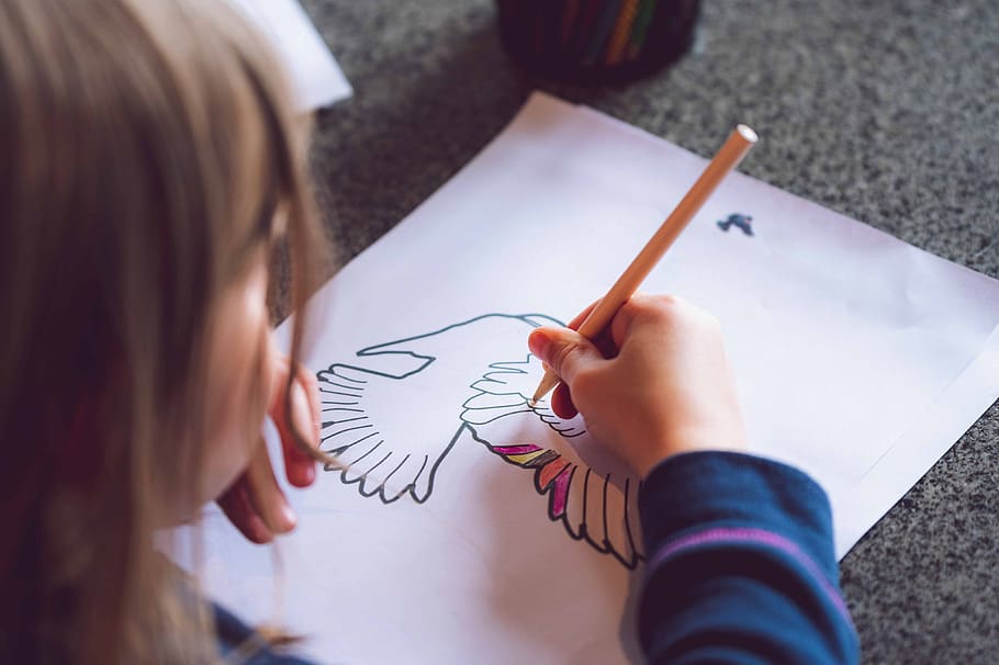 drawing, child, figure, arts, paper, crayons, hand, bird, girl, coloring