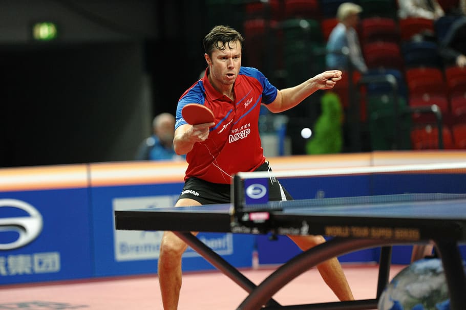 man, red, blue, polo shirt, playing, table tennis, ping pong, passion, sport, competitive Sport