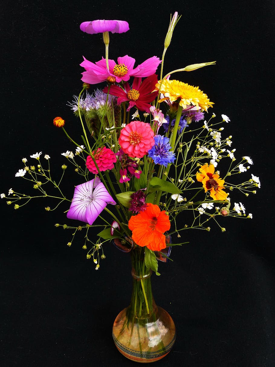 red-blue-and-yellow petaled flowers, amber, glass vase, birthday bouquet, wildflowers, pointed bouquet, flower meadow, bouquet, nasturtium, marigold