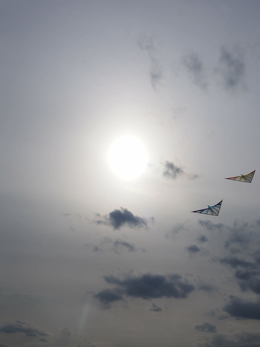 dragons, dragon fly, kite flying, allow kite flying, sun, sky, clouds, flying, transportation, air vehicle
