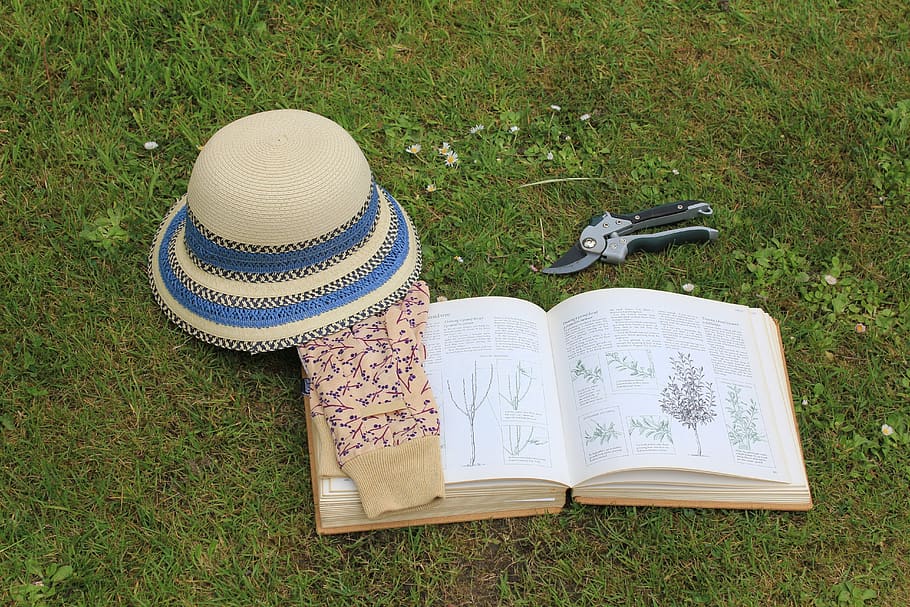 gardening, book, sun hat, garden gloves, read, header, backdrop, spring, summer, season