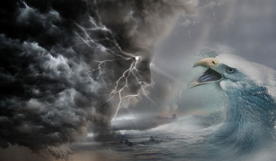 águila mar ola ilustración, fantasía, strom, dramático, océano, cabeza de hombre, nube, águila, cabeza, wawe