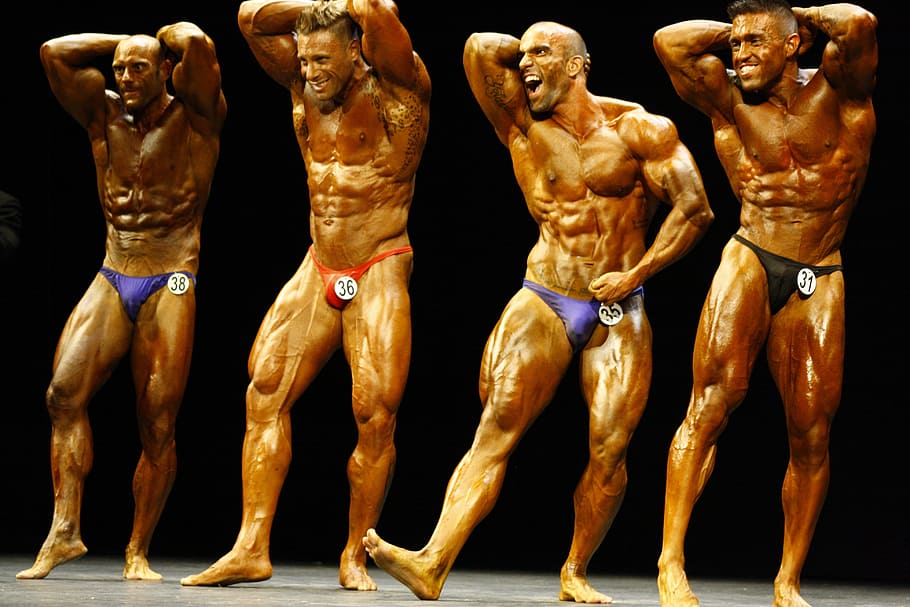 four, men bodybuilders, stage, Bodybuilding, Fitness, Model, fitness, model, the Human Body, statue, anatomy