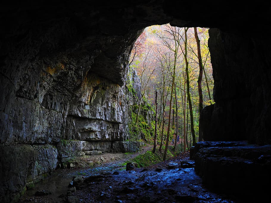 entrada da caverna, verde, folha foresst, caverna do falkensteiner, caverna, portal de cavernas, baden württemberg, albânia da suábia, stetten grave, bad urach