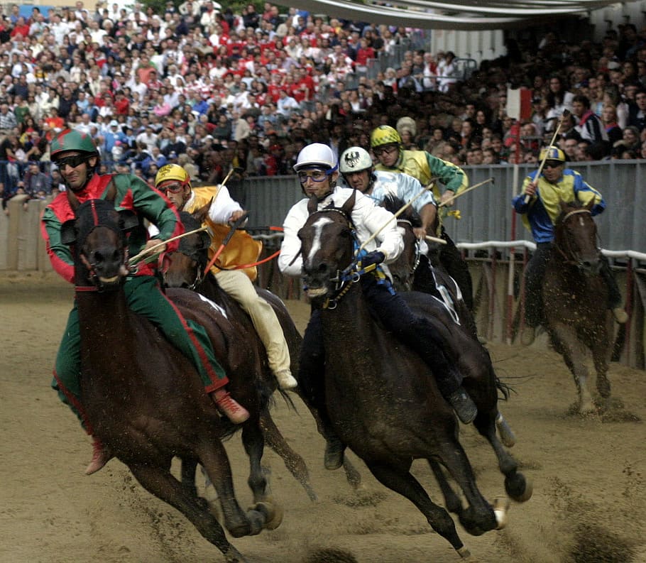 palio, di, asti, horse, race, Palio di Asti, Horse Race, Italy, asti horse, photos
