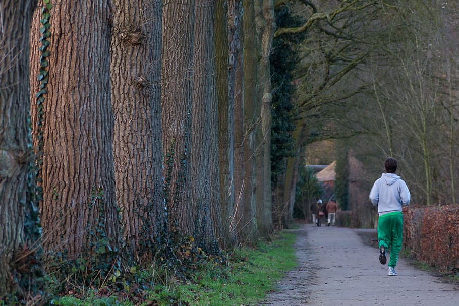 man, wearing, white, hooded jacket, green, pants, tree, running, fit, outdoor