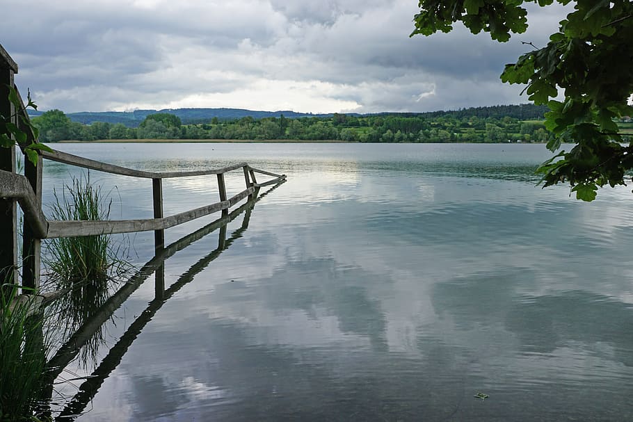 Untersee, Lake Constance, zellersee, peninsula mettnau, radolfzell, water, tree, day, outdoors, nature