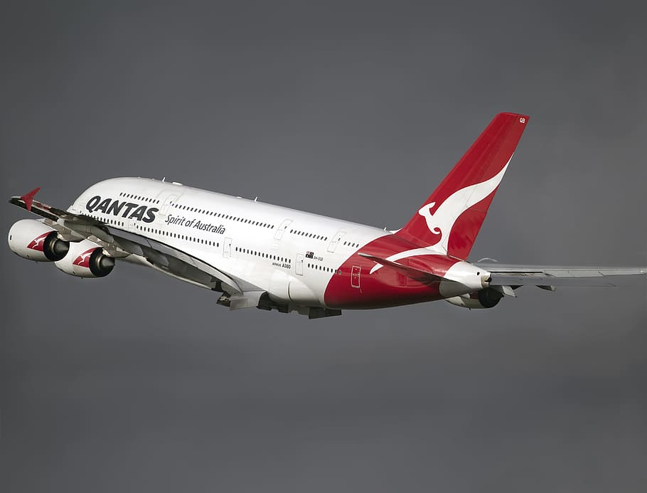 putih, merah, pesawat penumpang maskapai qantas, qantas, maskapai, pesawat, langit, perjalanan, penerbangan, transportasi