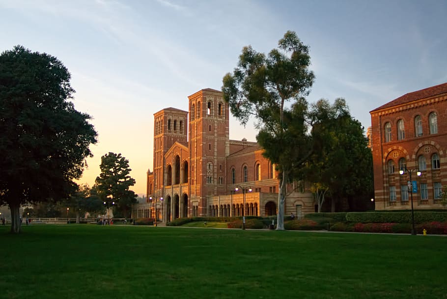 ucla, royce hall, westwood, university, campus, university of california, los angeles, college, academic, education