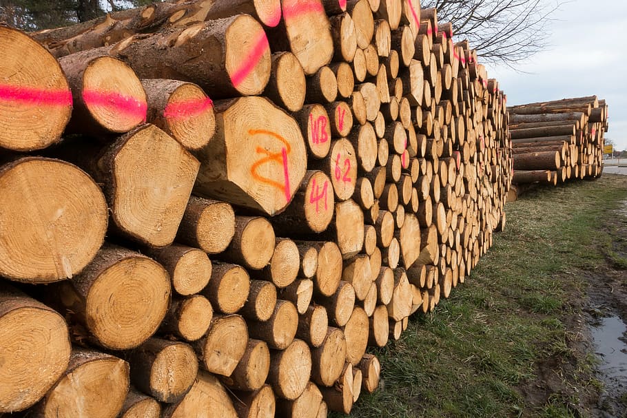 wood, timber, edge of the woods, holzstapel, growing stock, stacked up, sawed off, storage, stock, mark