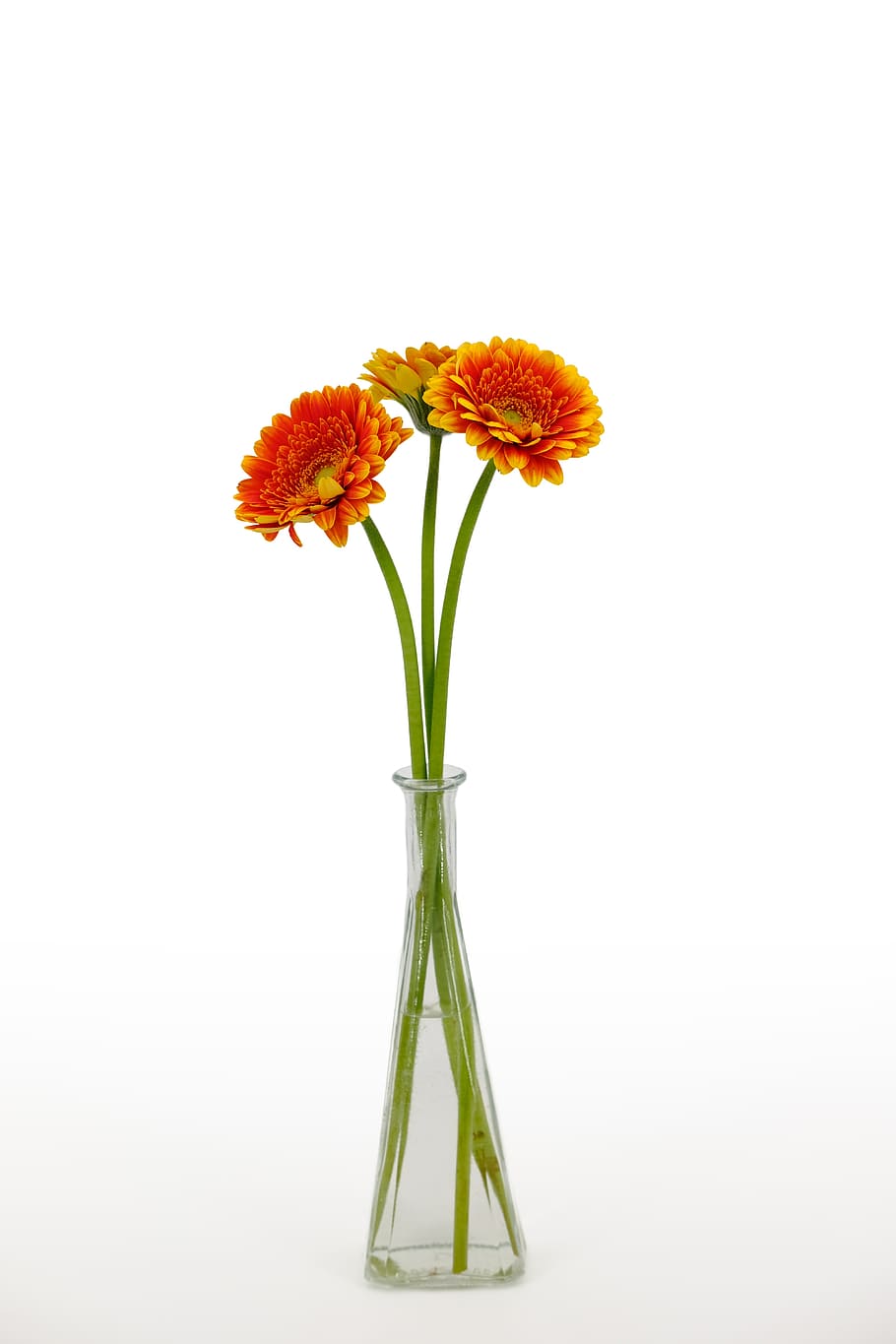 chrysanthemum, bouquet, flowers, bloom, vase, flower vase, bottle, vascular, flowering plant, flower