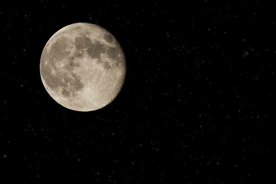 fotografía de paisaje, luna, lunas, luna llena, cielo nocturno, satélite, órbita, tierra, planetas, noche