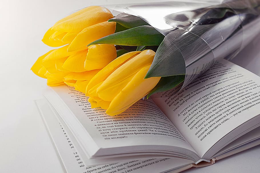ramo, amarillo, tulipanes, abierto, libro, pétalo, flor, tulipán, leer, papel