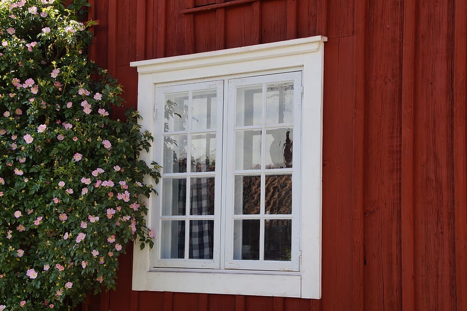 ventana, amistoso, Suecia, casa de madera, fachada, floración, Bullerbü, mariefred, Sörmland, pueblo