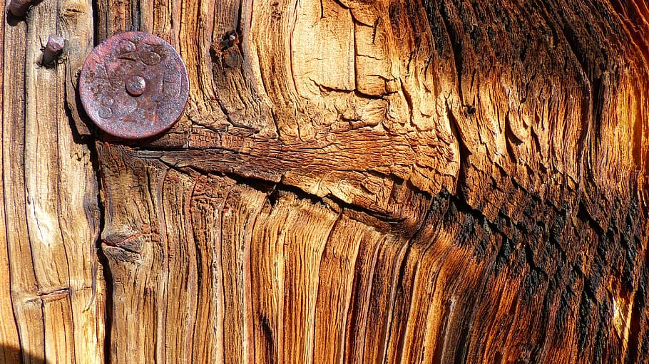 macro, wood, old, detail, nail, old board, wood - material, textured, full frame, close-up