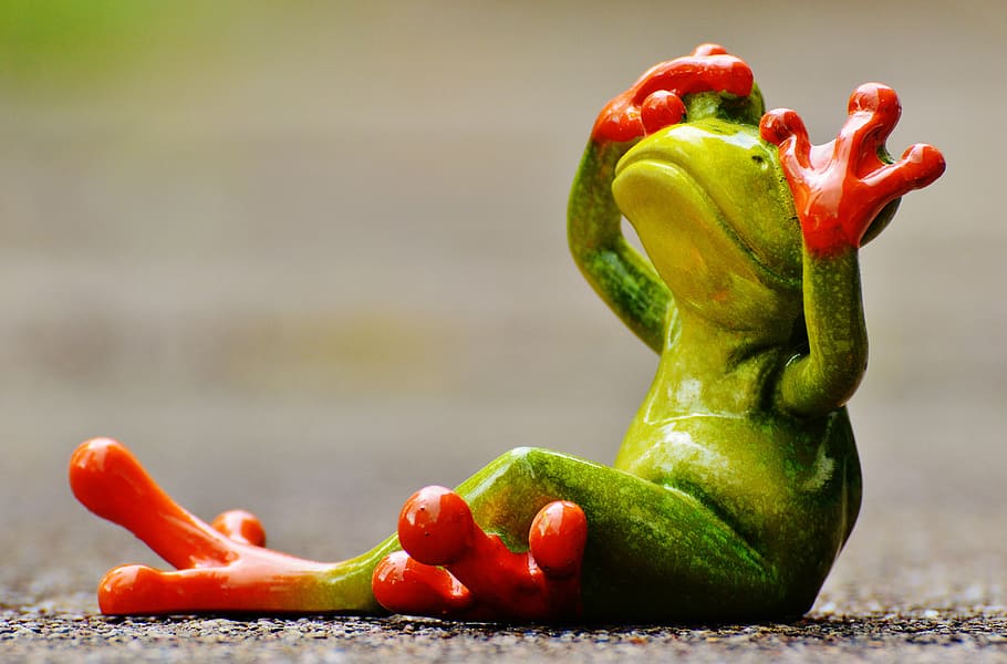 red-eyed tree frog, covering, eyes, frog, figure, not see, funny, cute, fun, sit