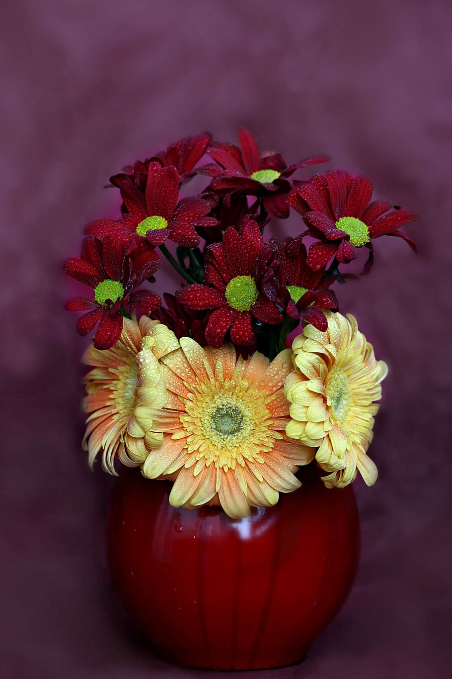 flowers, vase, gerbera, chrysanthemums, yellow, flower, flowering plant, freshness, plant, close-up