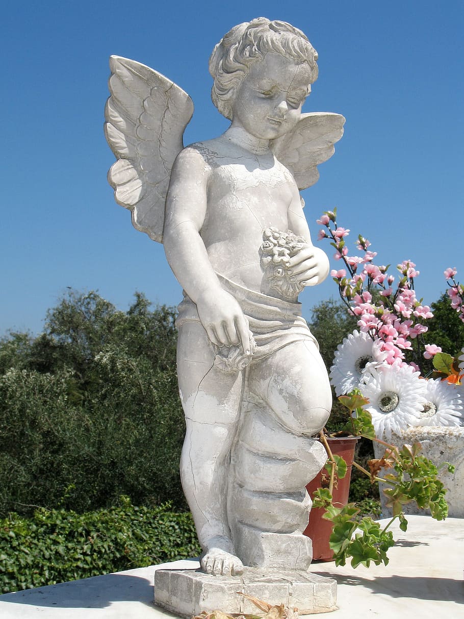 estátua de querubim, ao lado, branco, rosa, flores de pétalas, anjo, estátua, pedra, rocha, bebê