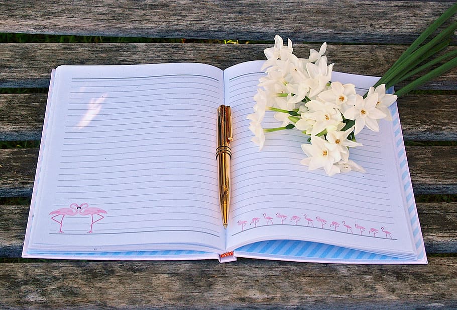 flat, lay, photography, open, notebook, pen, flowers, top, white book, gold