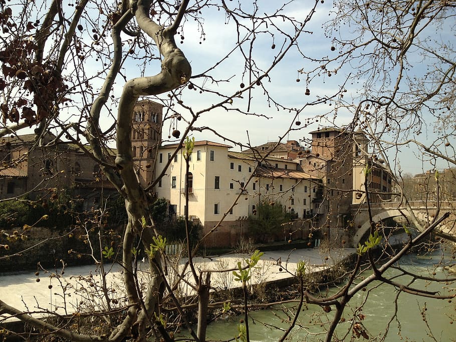 island, tiber, branches, edge, river, spring, rome, building exterior, architecture, built structure