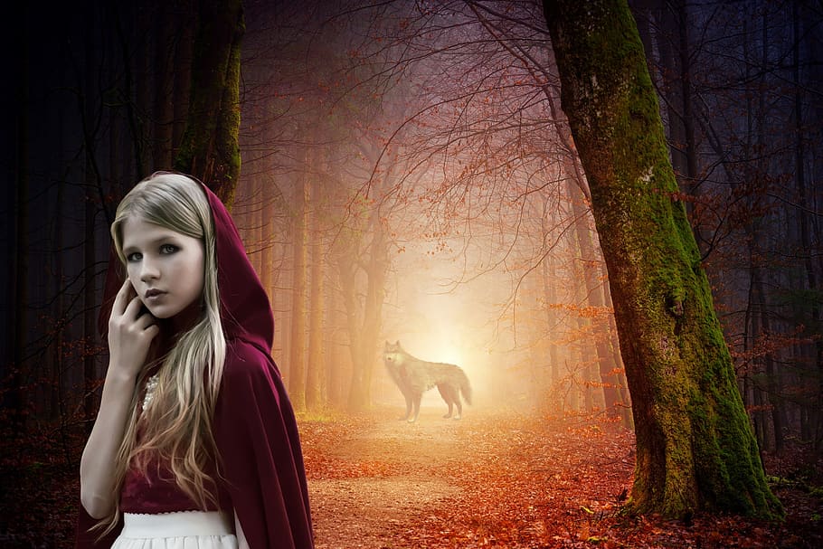 little red riding hood, tale, wolf, girl, story, fantasy, forest, fairytale, hood, woods