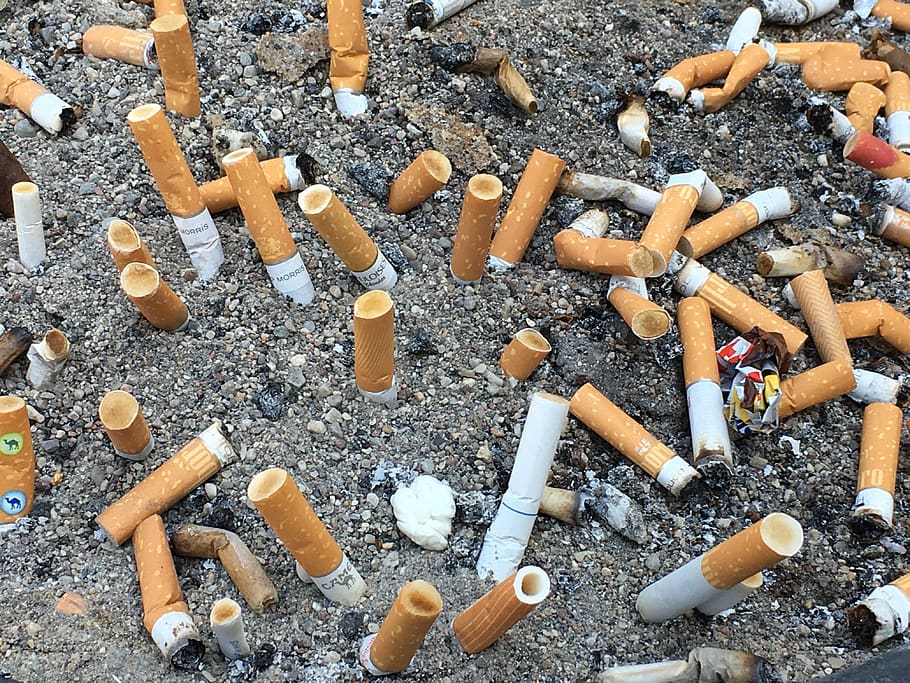 cigarros, batalha, campo, insalubre, filtro, tabaco, ponta de cigarro, drogas, eliminação, cinza