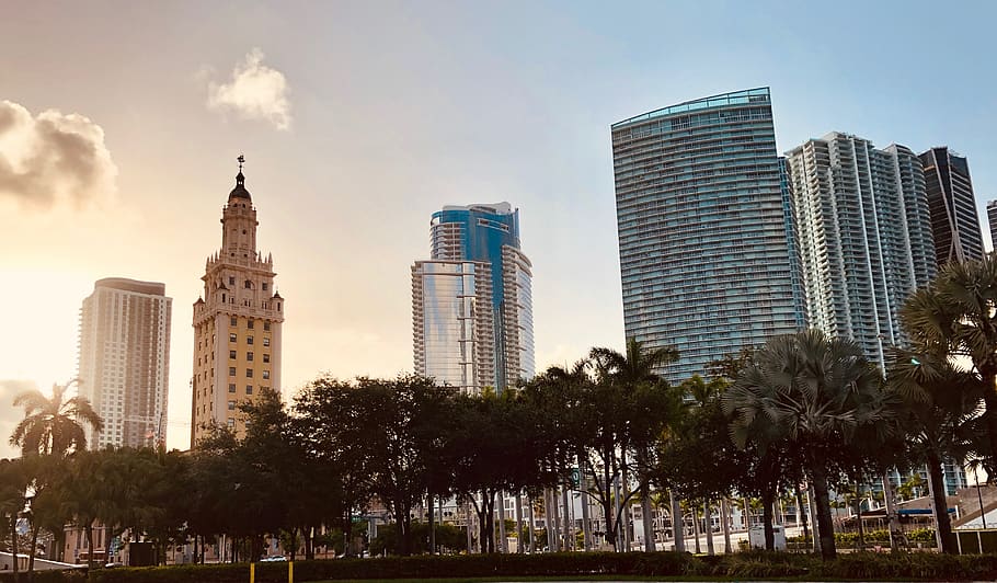 Miami, Florida, Estados Unidos, horizonte, centro de la ciudad, sol, palma, América, paisaje, arquitectura