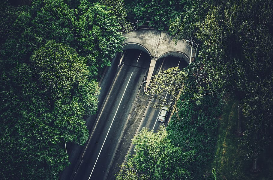 highway, road, cards, driving, tunnel, bridge, trees, green, nature, leaves