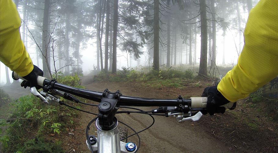 person, riding, bicycle, surrounded, forest trees, cycling, handlebars, woods, exercise, forest