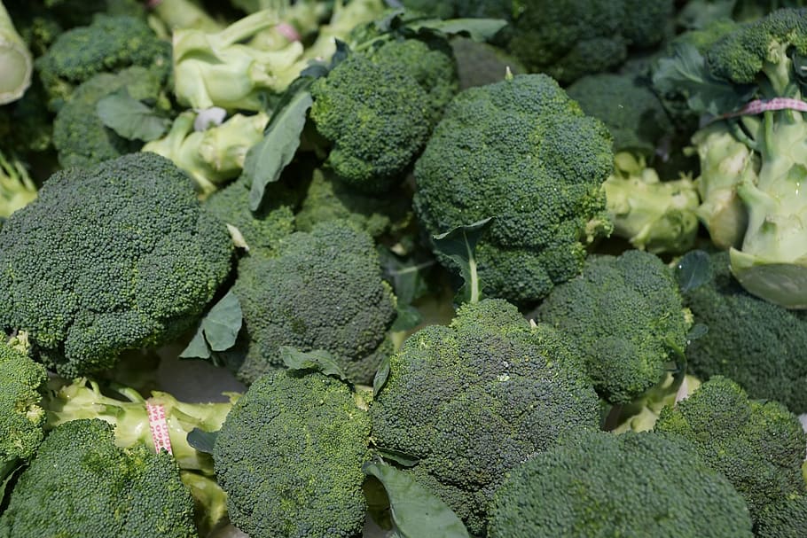 broccoli, eat, market, healthy, vitamins, food, summer, autumn, green, garden