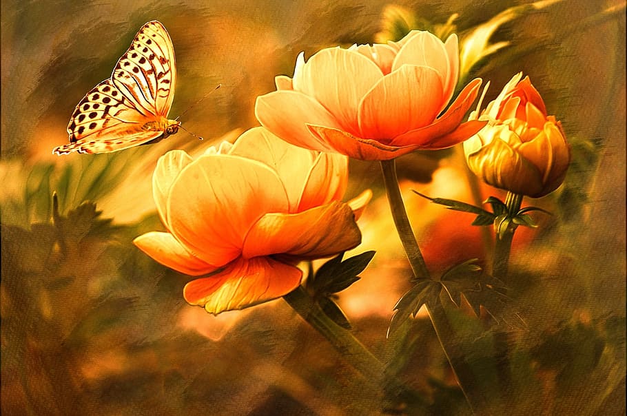 yellow, butterfly, orange, flower paiting, nature, flowers, image editing, painting, flower, flowering plant