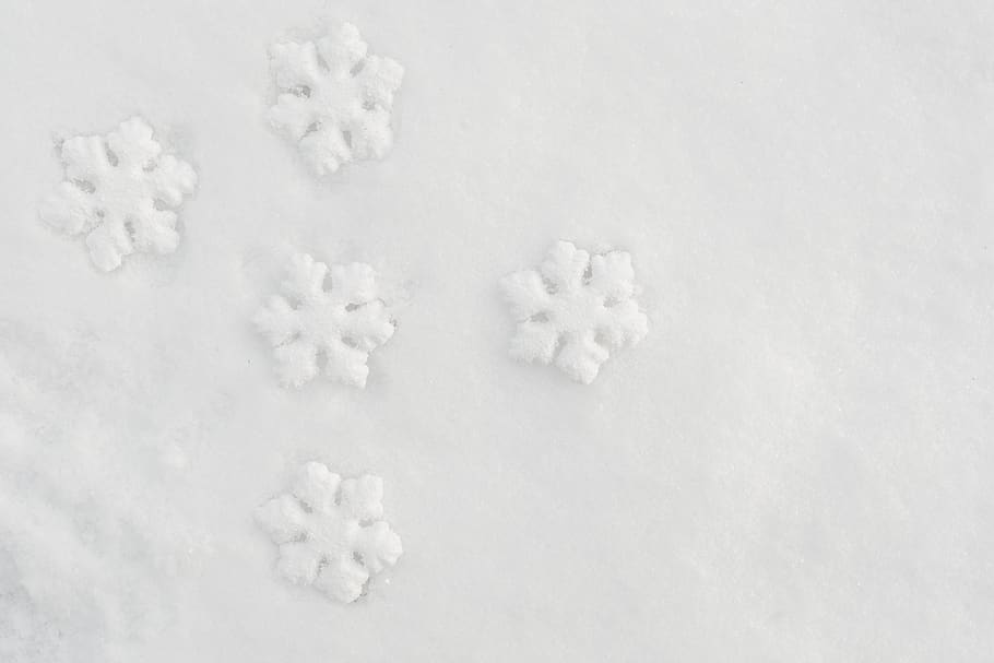 copos de nieve, decoración, nieve, blanco, mínimo, invierno, decorativo, fresco, temperatura fría, sin gente
