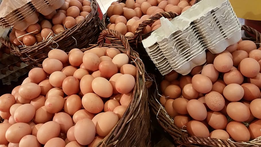 chicken egg lot, egg, easter, sales stand, holland, egg carton, protein, baskets, food and drink, food