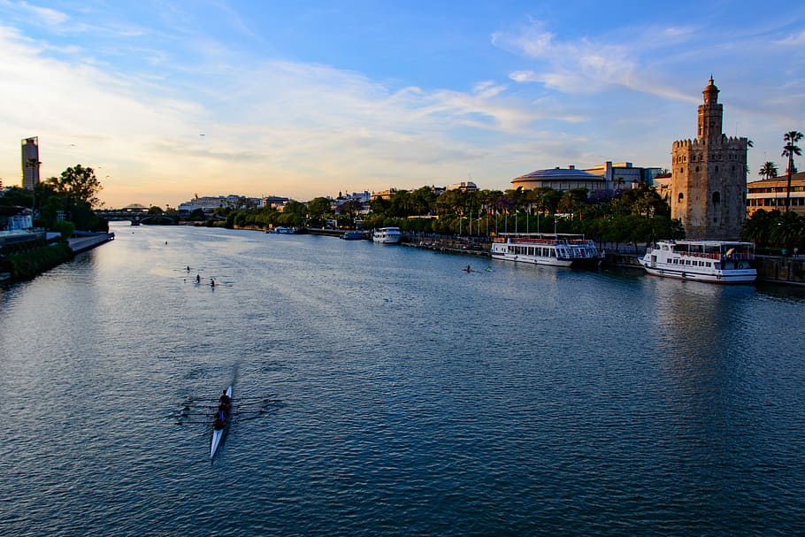 boat, body, Guadalquivir, Seville, Water, Sports, water sports, river, rowing, nautical vessel
