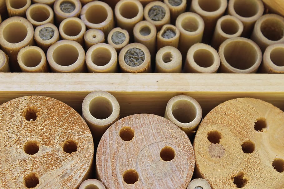 wood, insect, insect hotel, insect house, insect box, large group of objects, still life, backgrounds, full frame, hole