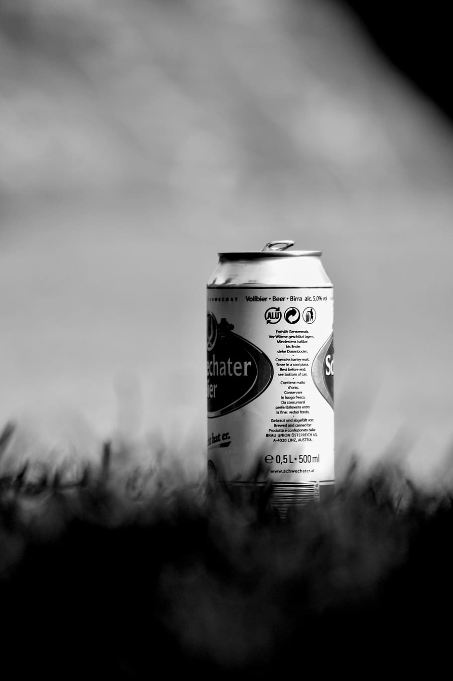 lata, cerveza, hierba, fotografía en blanco y negro, soledad, sin gente, finanzas, enfoque selectivo, texto, moneda