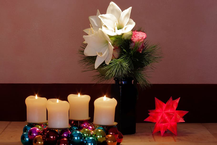 advent wreath, christmas, amaryllis, white, flowers, flower, plant, botany, inflorescence, amaryllis plant
